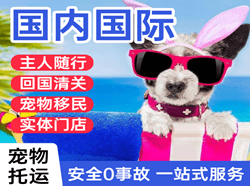 虹桥空运代理国际宠物托运 【国